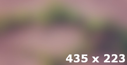 Trees Are A Beautiful Wall Feature For A Nursery Or Child's Cool Bedroom Collection