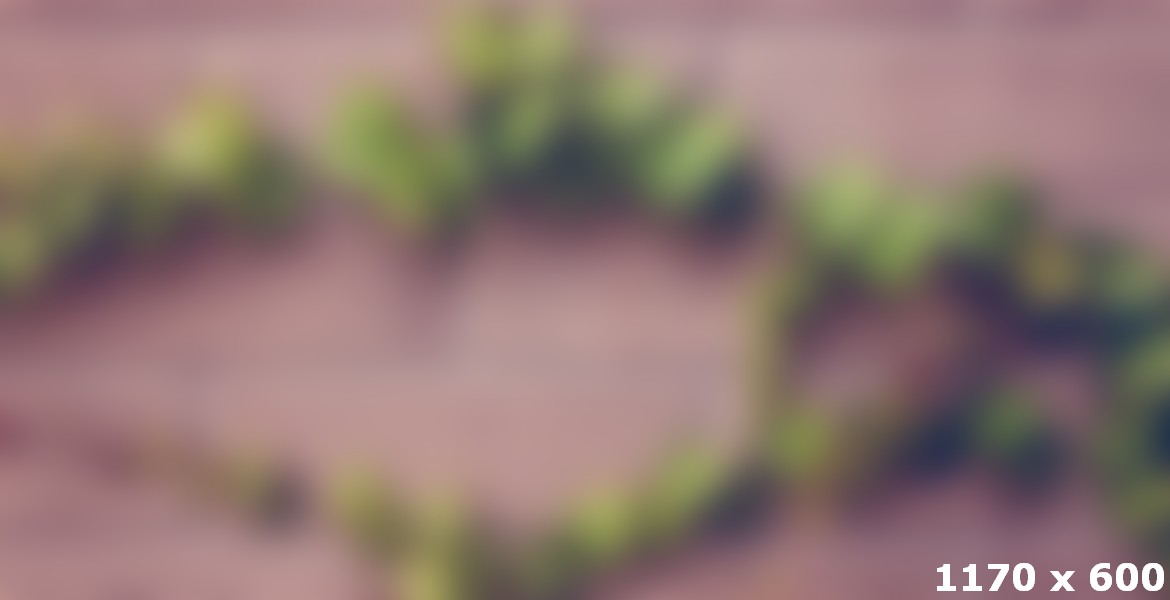 Trees Are A Beautiful Wall Feature For A Nursery Or Child's Cool Bedroom Collection